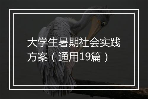 大学生暑期社会实践方案（通用19篇）