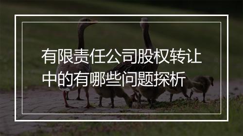 有限责任公司股权转让中的有哪些问题探析