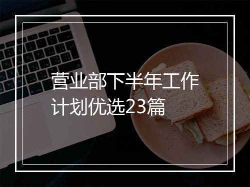营业部下半年工作计划优选23篇