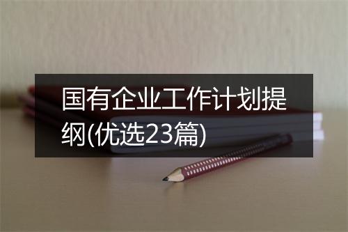 国有企业工作计划提纲(优选23篇)