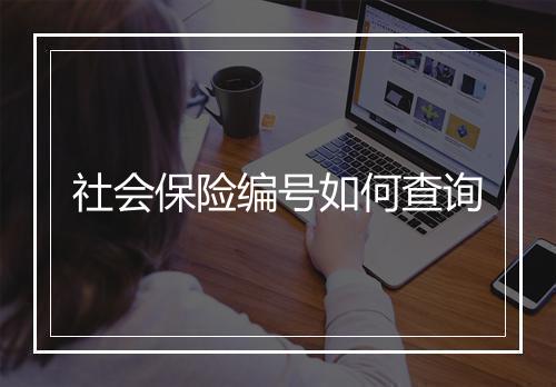 社会保险编号如何查询