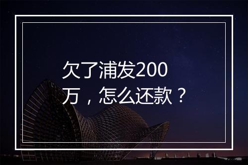 欠了浦发200万，怎么还款？