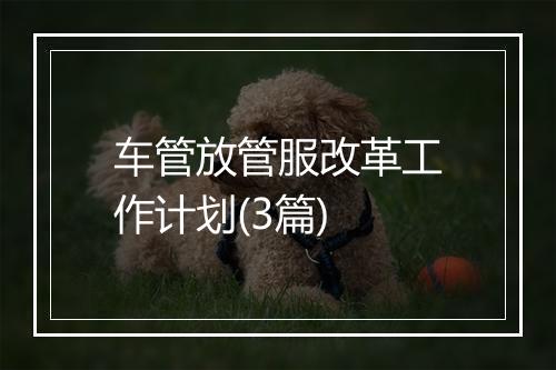 车管放管服改革工作计划(3篇)