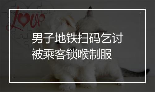 男子地铁扫码乞讨被乘客锁喉制服