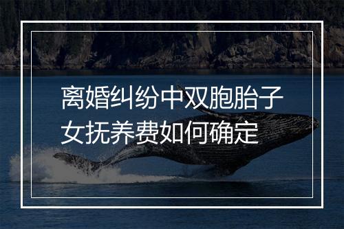 离婚纠纷中双胞胎子女抚养费如何确定