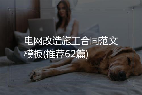电网改造施工合同范文模板(推荐62篇)