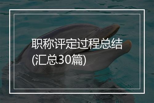 职称评定过程总结(汇总30篇)