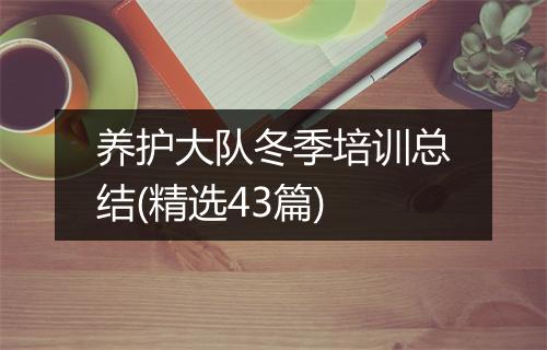 养护大队冬季培训总结(精选43篇)