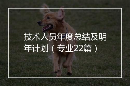 技术人员年度总结及明年计划（专业22篇）