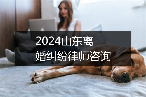 2024山东离婚纠纷律师咨询