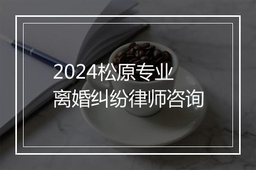 2024松原专业离婚纠纷律师咨询
