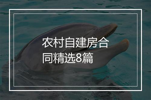 农村自建房合同精选8篇