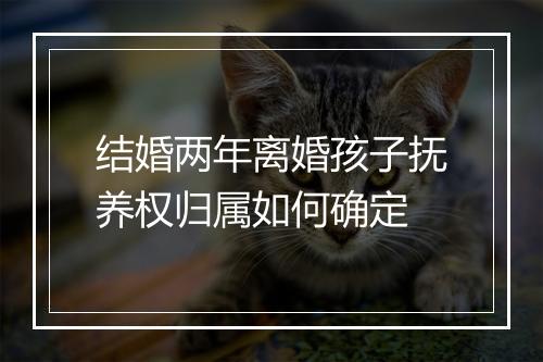 结婚两年离婚孩子抚养权归属如何确定