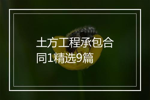 土方工程承包合同1精选9篇