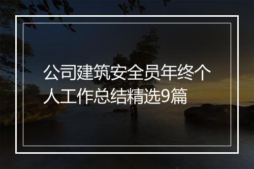 公司建筑安全员年终个人工作总结精选9篇