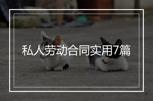 私人劳动合同实用7篇