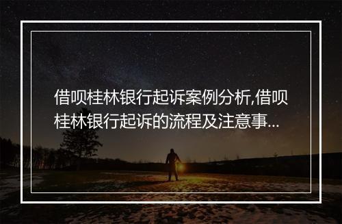 借呗桂林银行起诉案例分析,借呗桂林银行起诉的流程及注意事项