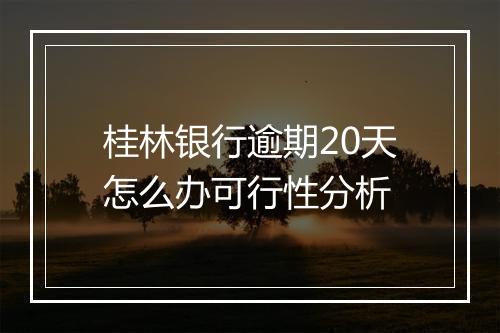 桂林银行逾期20天怎么办可行性分析