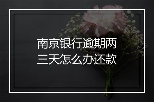 南京银行逾期两三天怎么办还款