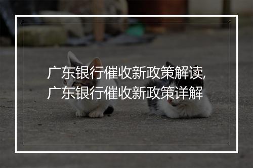 广东银行催收新政策解读,广东银行催收新政策详解