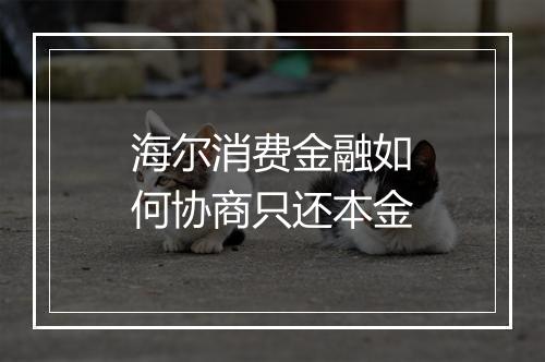 海尔消费金融如何协商只还本金