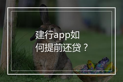 建行app如何提前还贷？