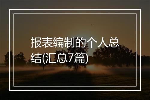 报表编制的个人总结(汇总7篇)