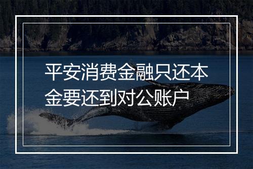 平安消费金融只还本金要还到对公账户