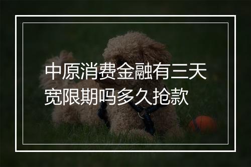 中原消费金融有三天宽限期吗多久抢款