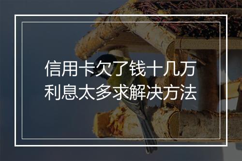 信用卡欠了钱十几万利息太多求解决方法