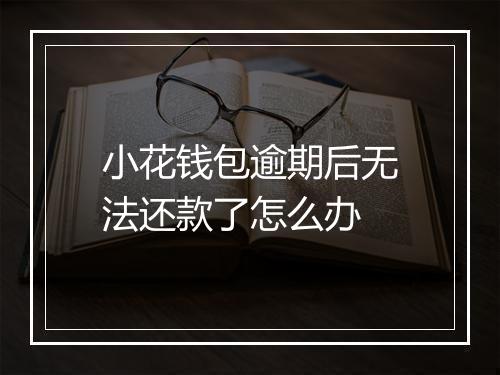 小花钱包逾期后无法还款了怎么办