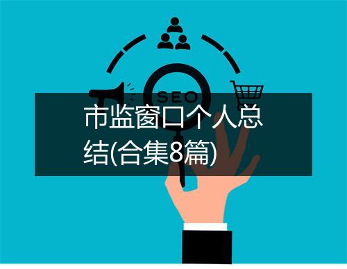 市监窗口个人总结(合集8篇)