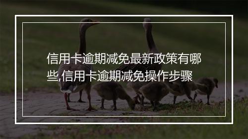 信用卡逾期减免最新政策有哪些,信用卡逾期减免操作步骤