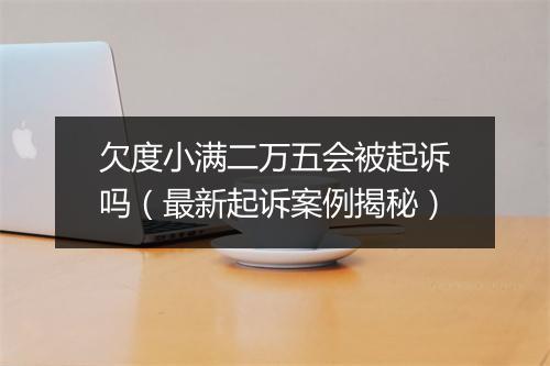 欠度小满二万五会被起诉吗（最新起诉案例揭秘）