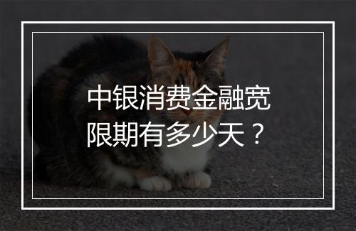 中银消费金融宽限期有多少天？