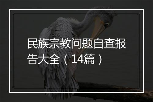 民族宗教问题自查报告大全（14篇）
