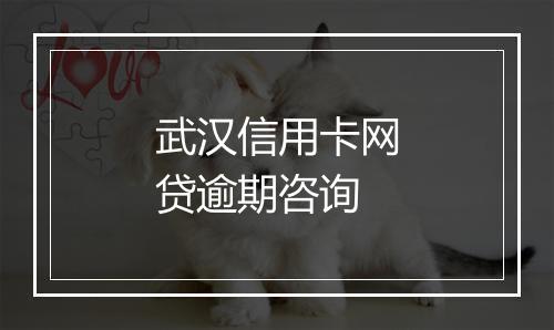 武汉信用卡网贷逾期咨询