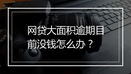 网贷大面积逾期目前没钱怎么办？