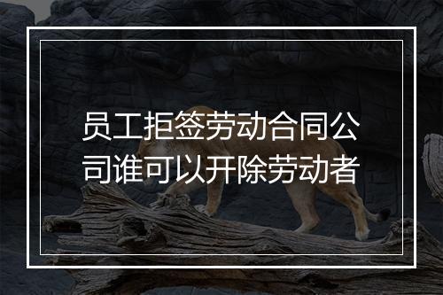 员工拒签劳动合同公司谁可以开除劳动者