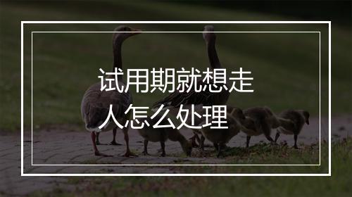 试用期就想走人怎么处理