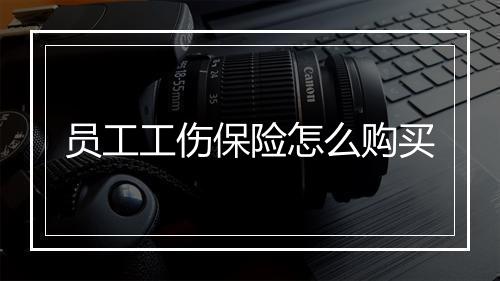 员工工伤保险怎么购买