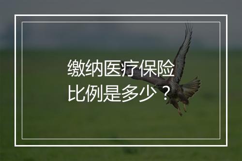 缴纳医疗保险比例是多少？