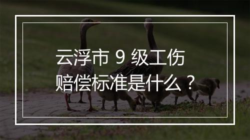 云浮市 9 级工伤赔偿标准是什么？
