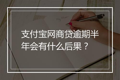 支付宝网商贷逾期半年会有什么后果？