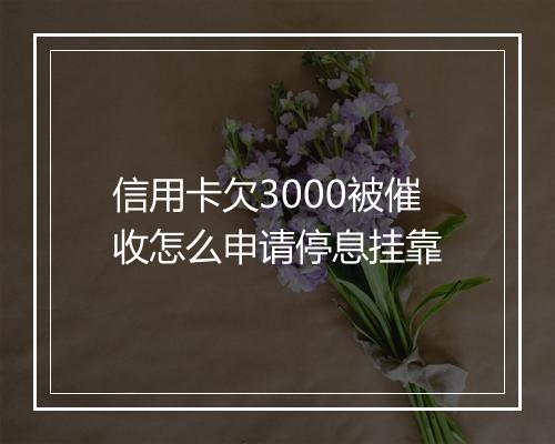 信用卡欠3000被催收怎么申请停息挂靠