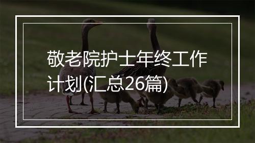 敬老院护士年终工作计划(汇总26篇)