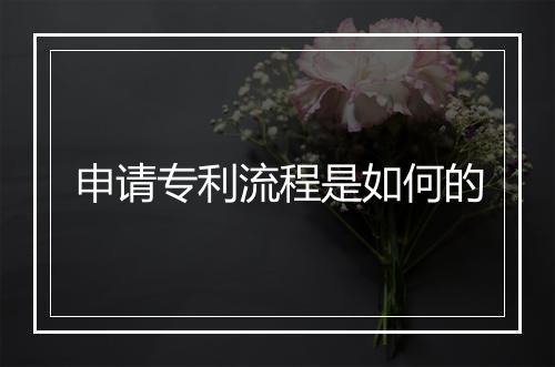 申请专利流程是如何的