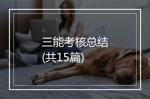 三能考核总结(共15篇)