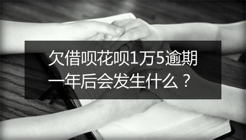 欠借呗花呗1万5逾期一年后会发生什么？