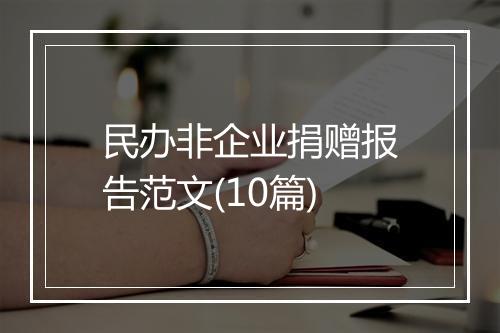民办非企业捐赠报告范文(10篇)